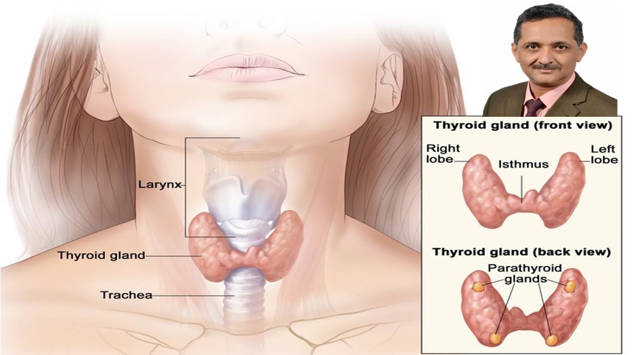 Thyroid Cancer Doctor In Rajasthan